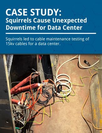 data center cable testing after squirrel damage